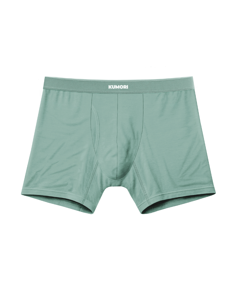 Bamboo Boxer Brief 5"