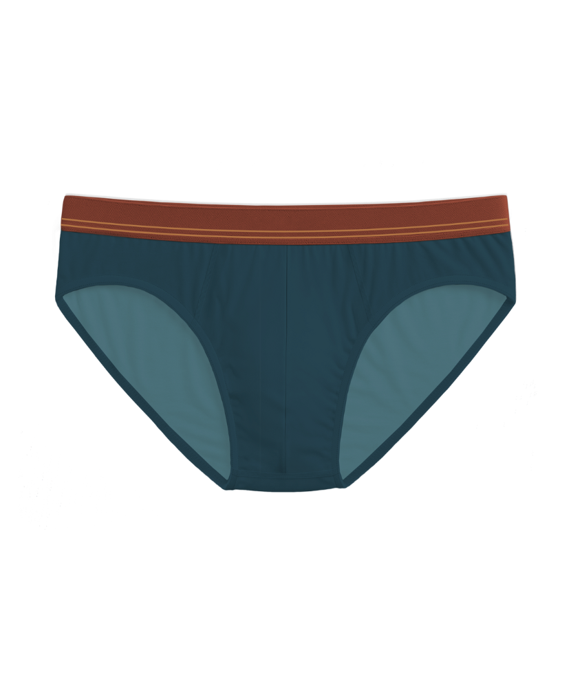 Fall Drop 4 Pack Briefs