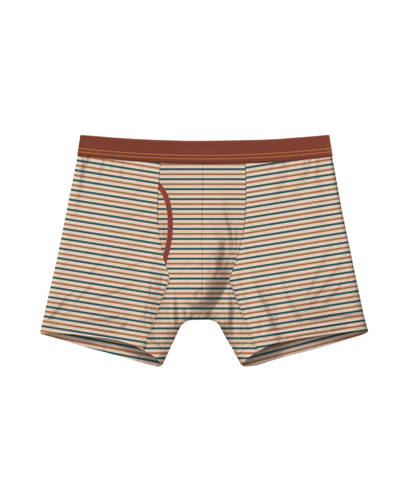 Fall Drop 4 Pack Bamboo Boxer Briefs 5"