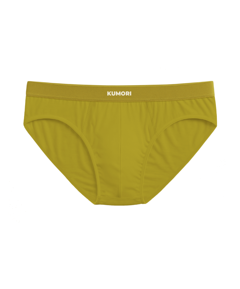 Bamboo Brief