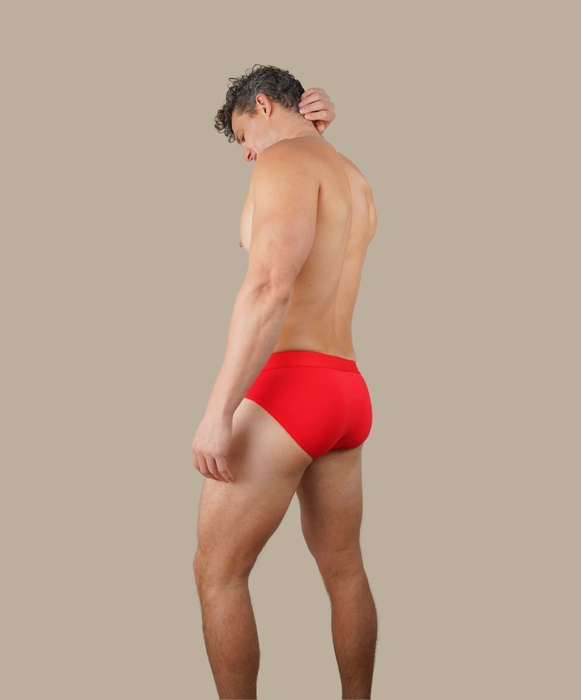 Bold Bamboo Brief 3-Pack