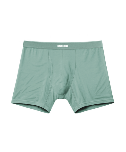 Bamboo Boxer Brief 5"