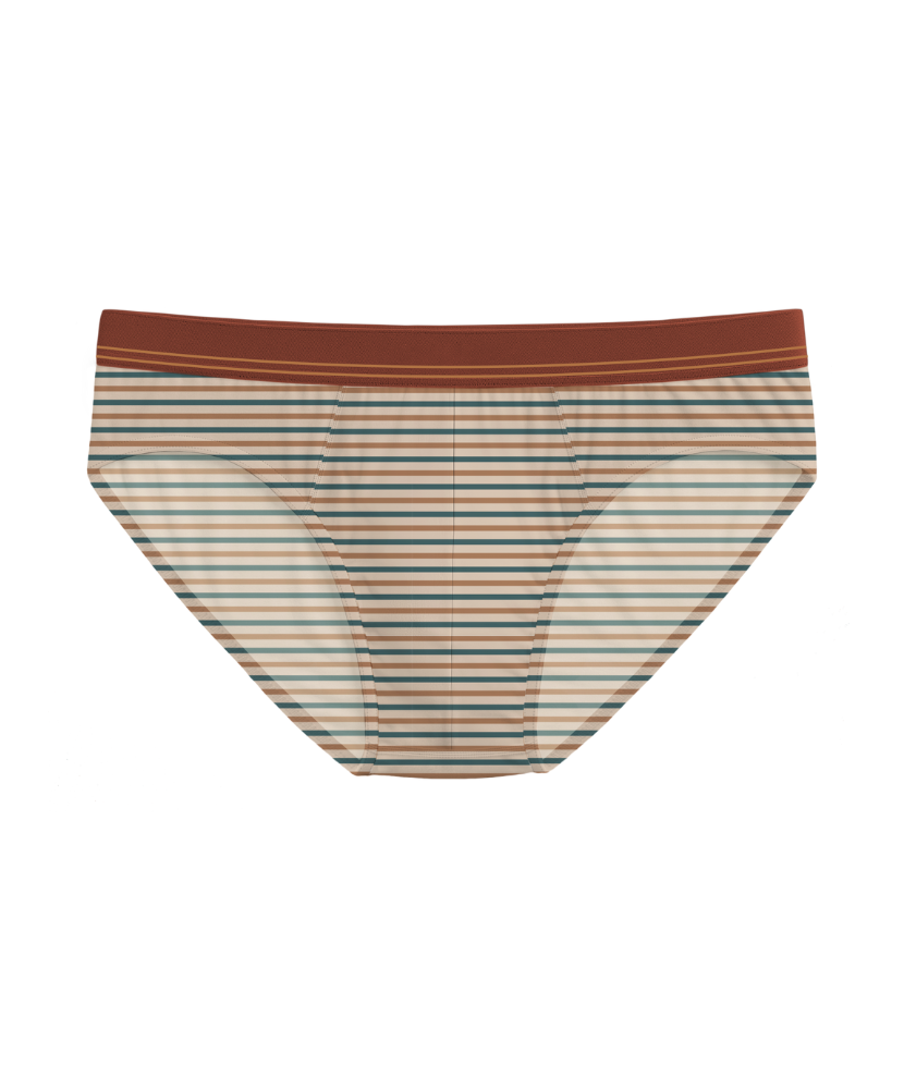 Fall Drop 4 Pack Briefs