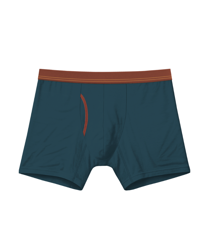 Fall Drop 4 Pack Bamboo Boxer Briefs 5"