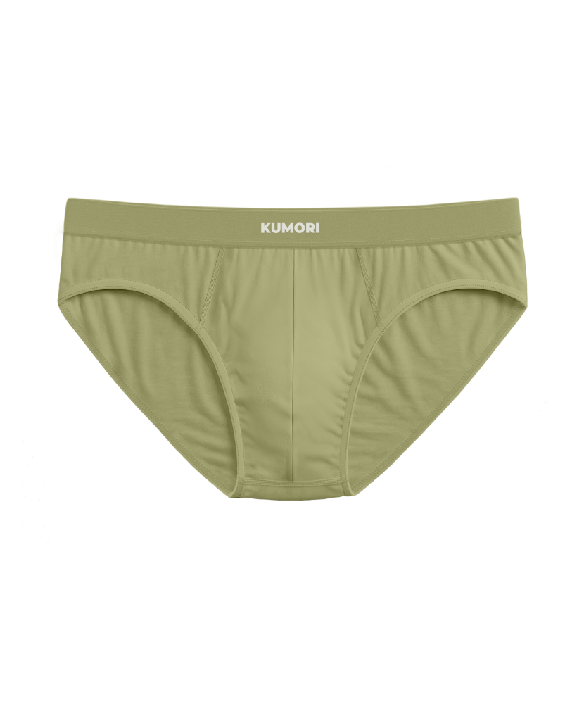 Bamboo Brief