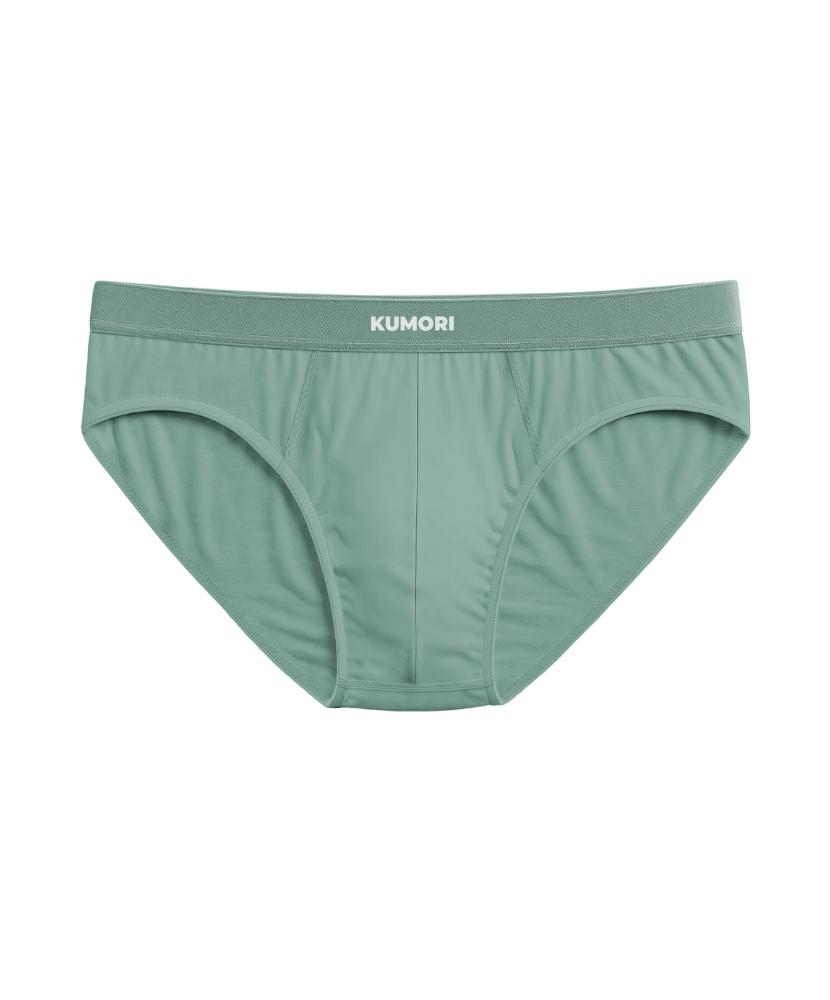 Bamboo Brief