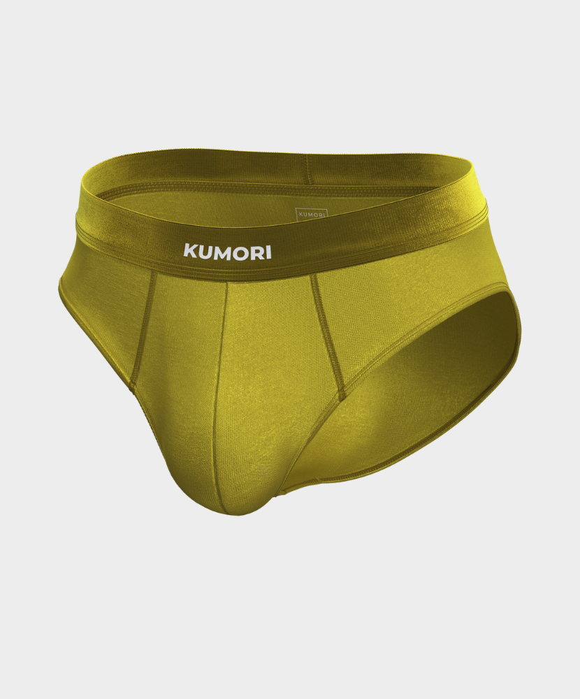 Bamboo Brief