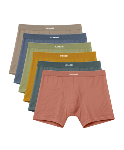 Bamboo Boxer Brief 5" (6-Pack) Tones of Earth