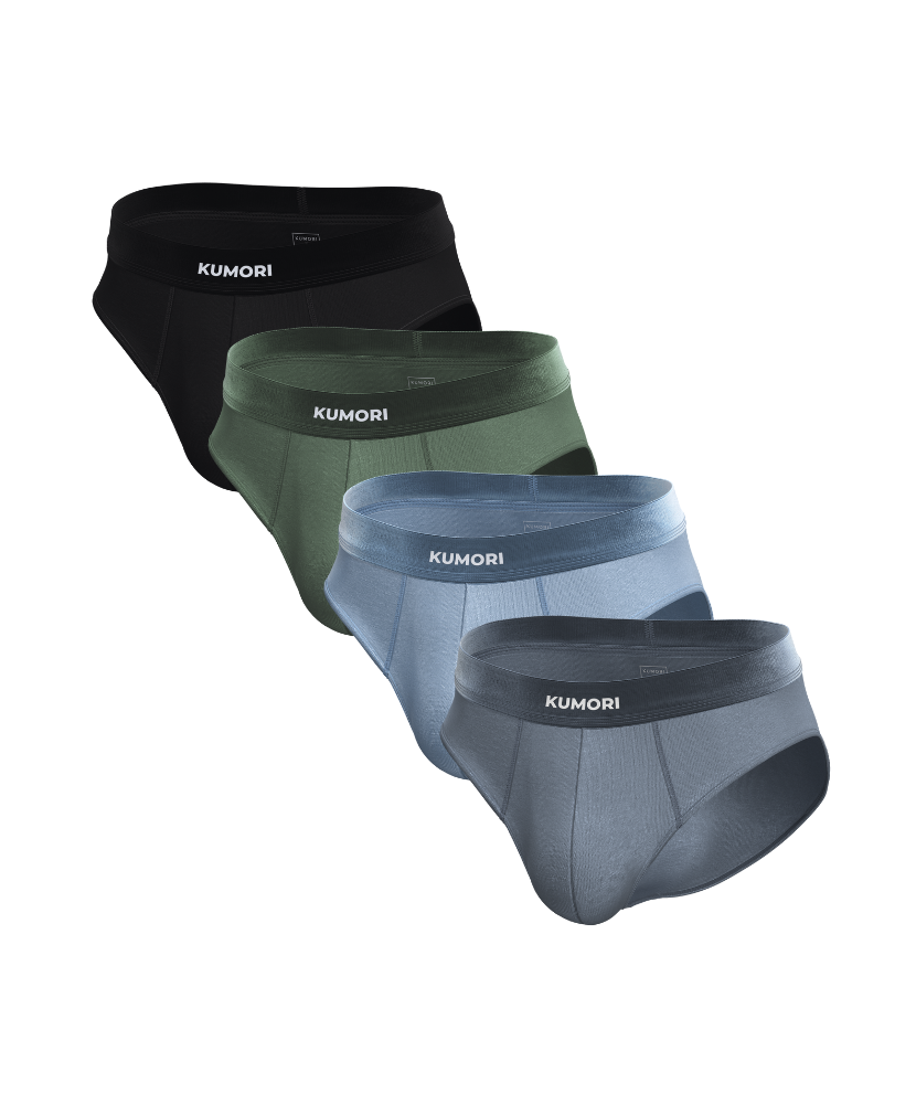 Modern Neutrals Briefs 4-Pack