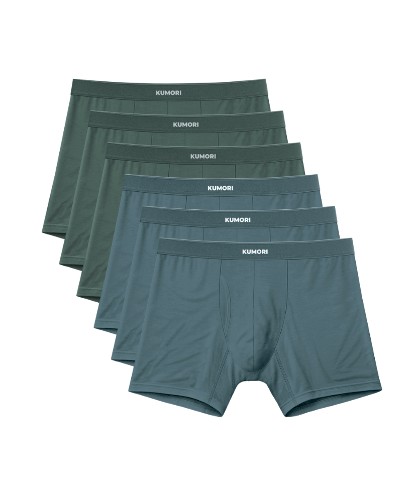 Bamboo Boxer Brief 5" (6-Pack) Northlake & Coastal Fern