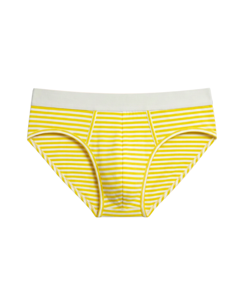 Bamboo Brief