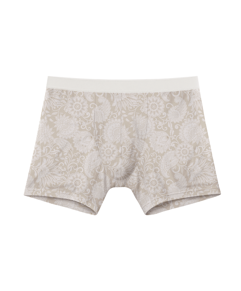 Bamboo Boxer Brief 5" (8-Pack) Paisleys
