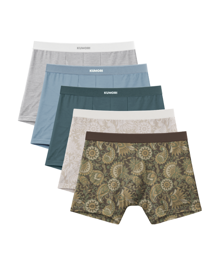 Bamboo Boxer Brief 5" (5-Pack) Paisleys