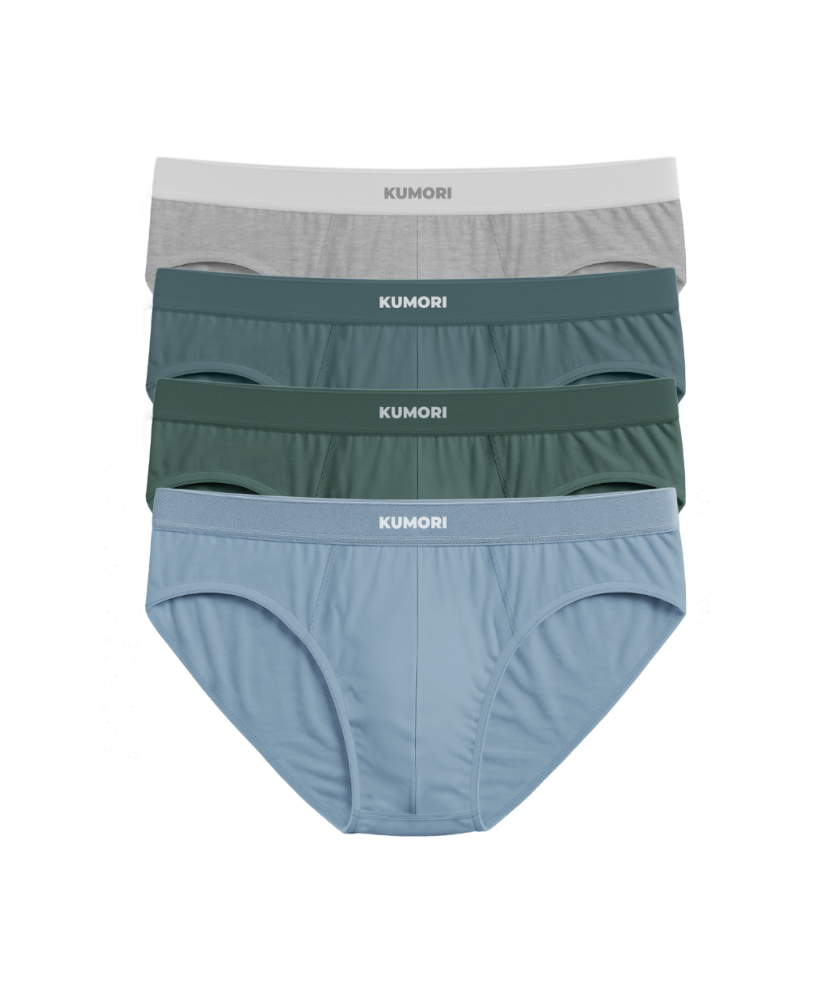 Bamboo Briefs 4 Pack Core Colors